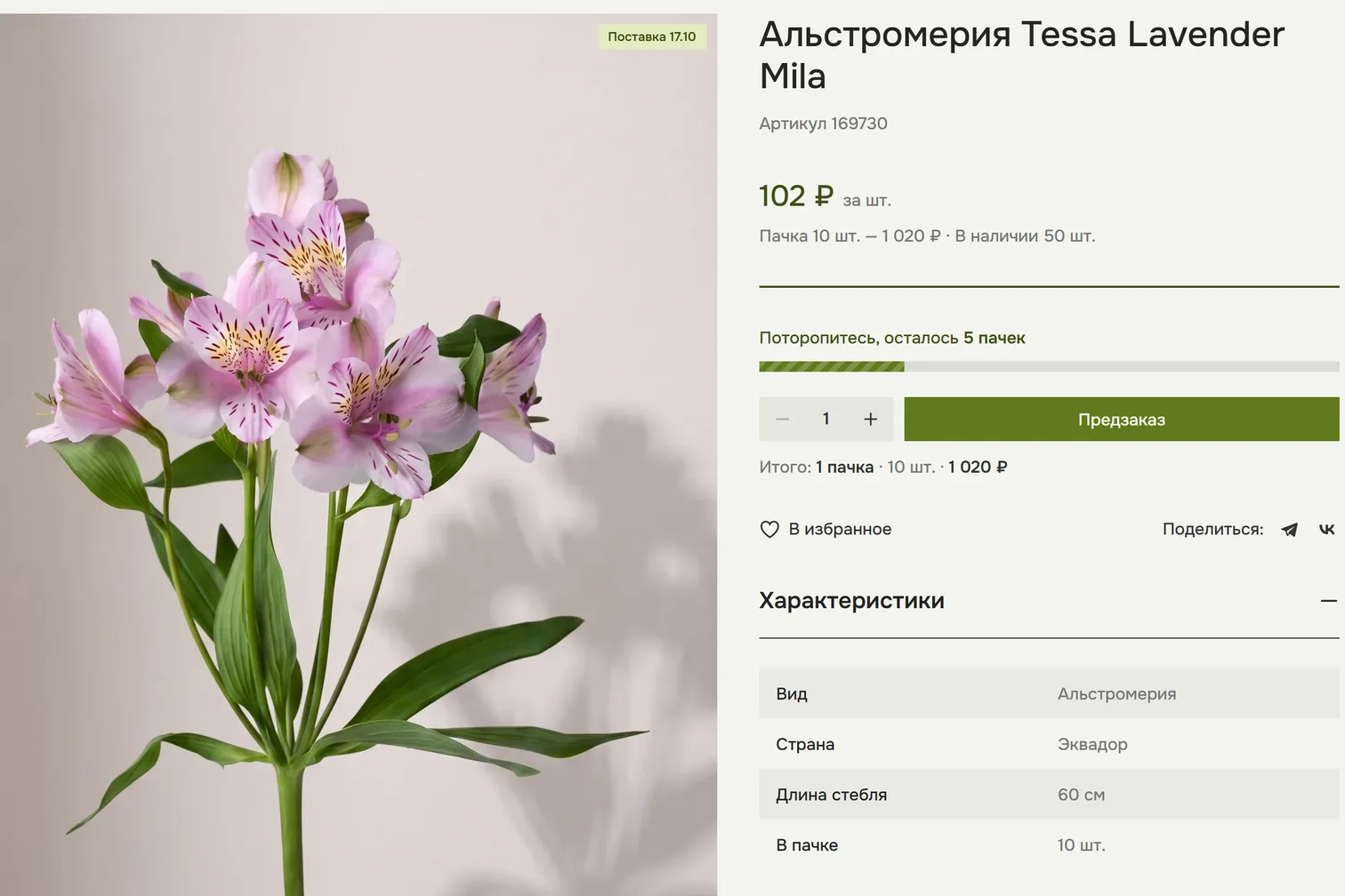 Карточка товара с плашкой «Поставка 16.10» и кнопкой «Предзаказ»